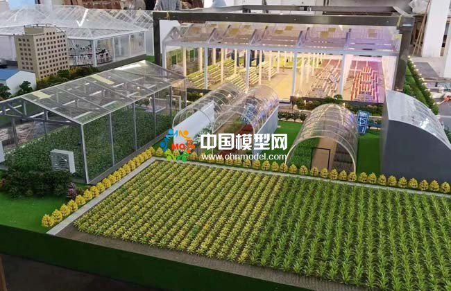  農(nóng)業(yè)大棚模型，畜牧養(yǎng)殖沙盤模型