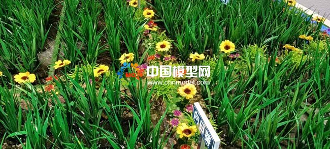 茭白產業(yè)種植基地沙盤模型