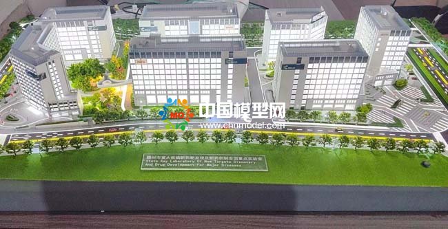 重大疾病新藥靶發(fā)現(xiàn)及新藥創(chuàng)制全國重點實驗室沙盤模型